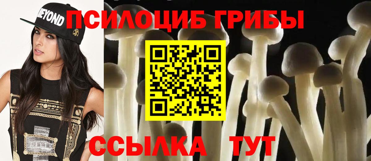 Галлюциногенные грибы мицелий  даркнет сайт  Наро-Фоминск  Вход с VPN 
